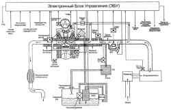 Датчики и источники сигнала от которых ЭБУ получает информацию и исполнительные устройства, на которые подается выходной сигнал