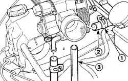 Расположение хомутов (1) и отсоединение патрубков (2) системы охлаждения и вакуумного шланга (3) от дроссельного узла